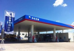 国内又多一家公立加油站！刚上市不久就车满为患，价格很亲民