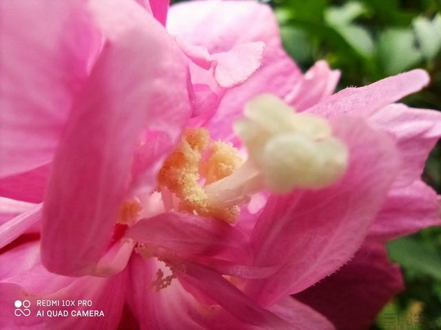 用“芯”带来熟悉的感动，Redmi 10X Pro评测