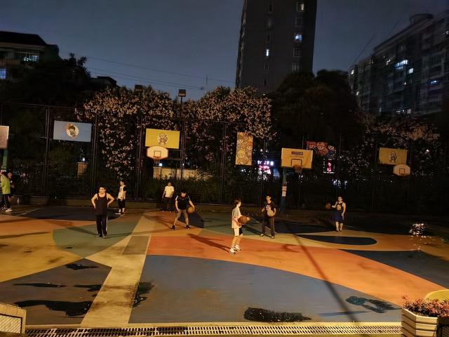 荣耀X10都登上珠峰了，你还在问它有什么优缺点