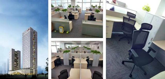 为你的老腰「续命」，老罗吹爆的办公椅升级款来了