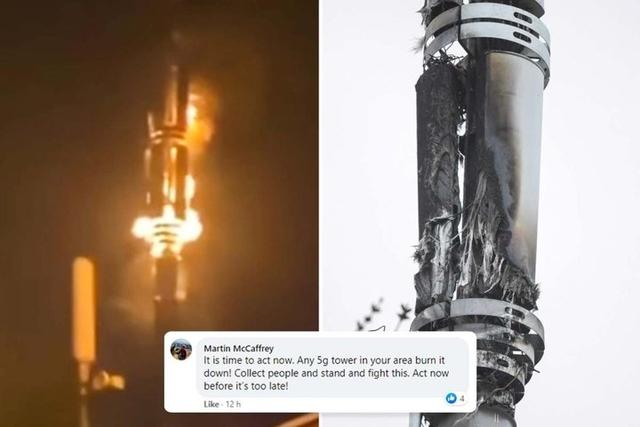 两千元的「反 5G 量子设备」，到底是怎样的智商税？