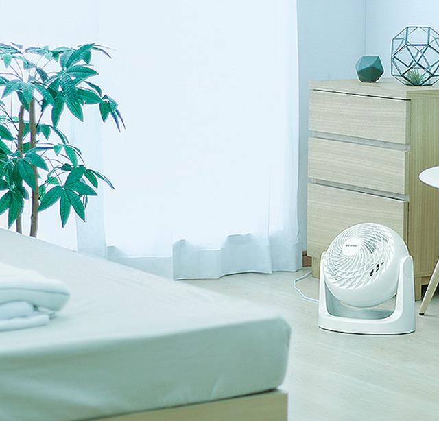 性价比超格力！百元级的日本老牌！睡觉、办公有它超凉