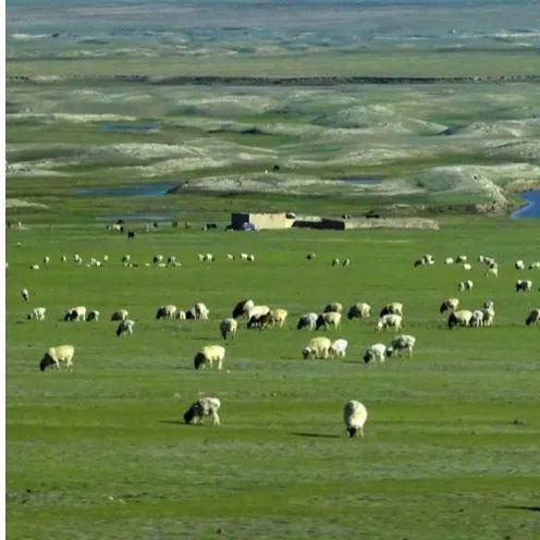 北斗这么牛，到底有啥用？