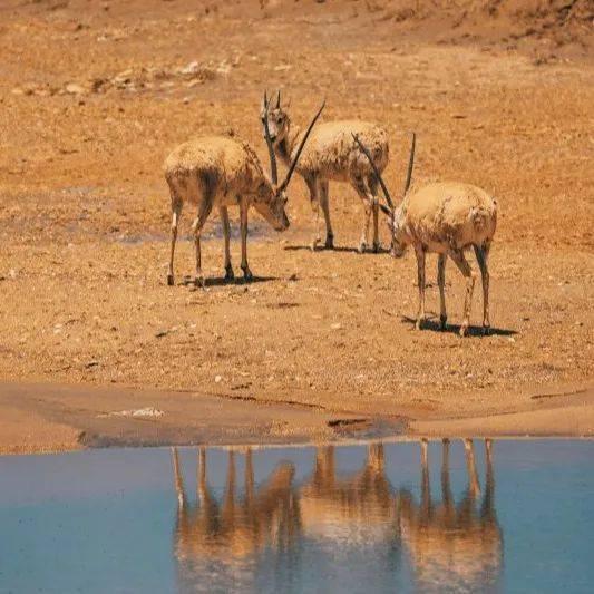 北斗这么牛，到底有啥用？