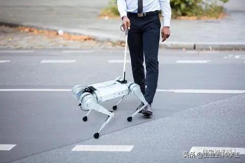 1.8万元一只，全球超低价的YoboGo机器狗震撼上市