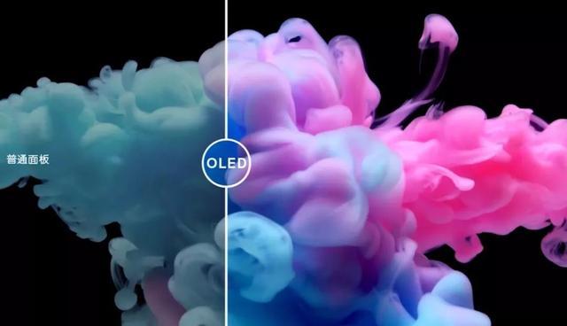 开卖就爆仓，性价比这么高，薇娅都不敢这么卖