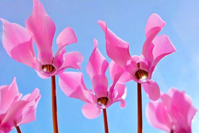 手机还隐藏一个"望远镜"功能？想看哪里都可以，不会用来试一试