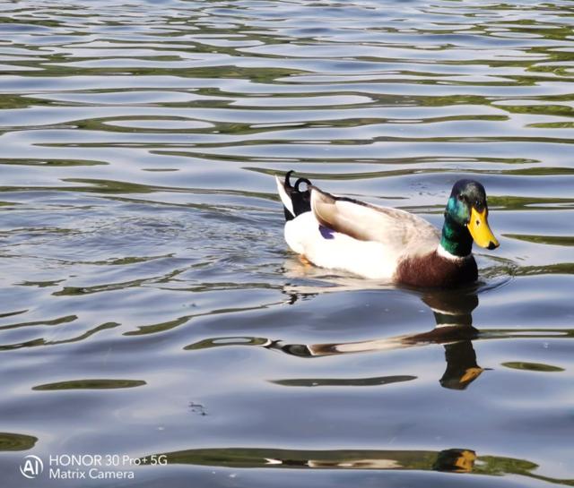 5K全能旗舰之选!荣耀30 Pro+:配置齐全无短板,有颜有料真能打