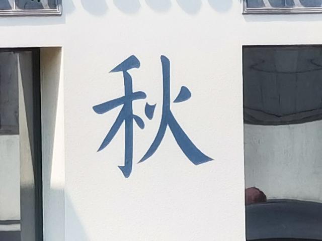 壕礼多多！华为nova7 Pro 818大促力度强