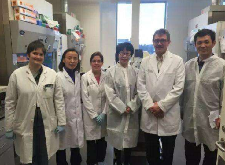 国外高科技人才不断涌入我国，到底是怎么回事，对我国有什么影响