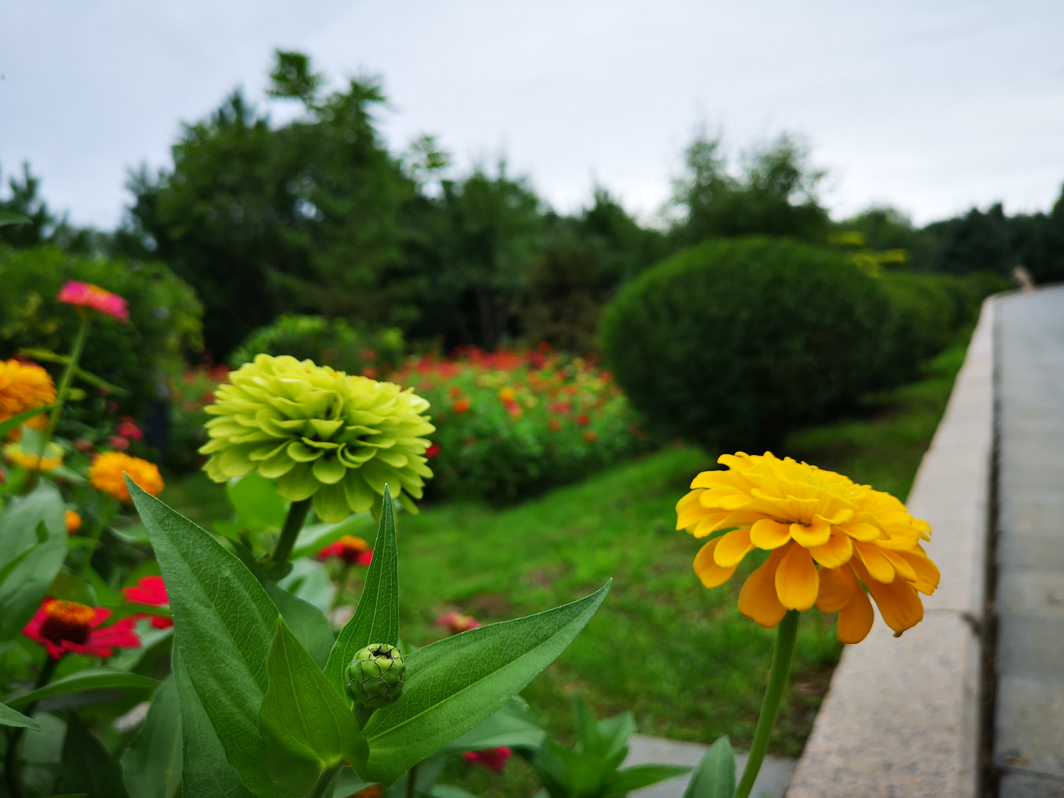 华为情结，两年一路陪伴，还未打算更换