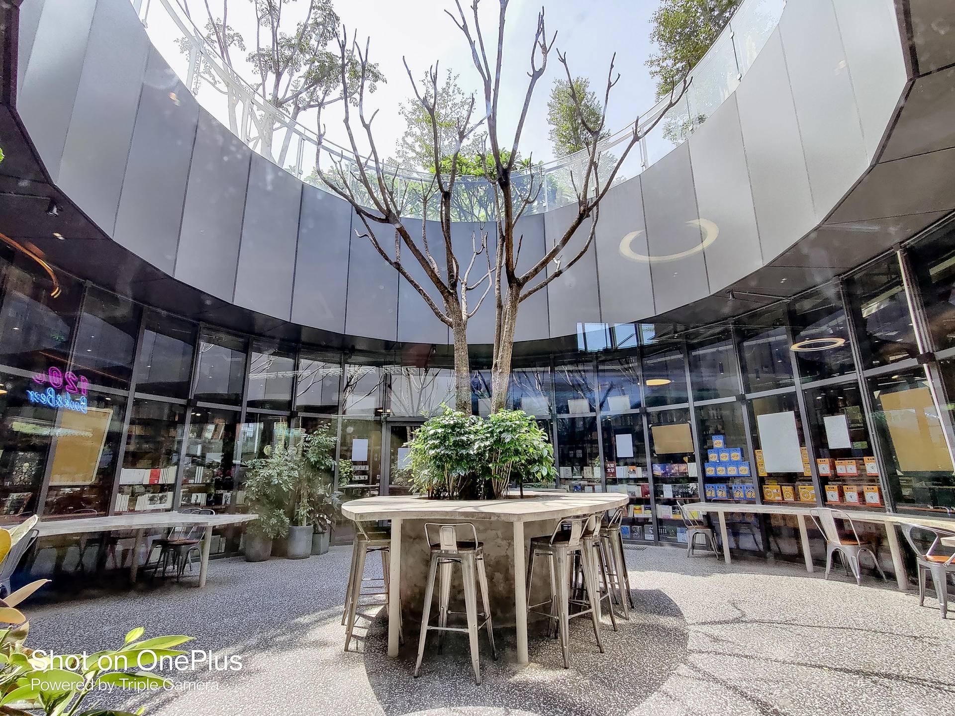 实述一加8半年拍照体验：普通人用它能拍出怎样的照片？