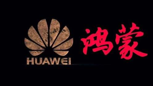 日本制造业强大，为何在中国市场，几乎看不到日本手机的影子
