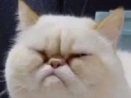 “大师的棋局着实难到我了,当真无解吗?”哈…注定要输钱了吗