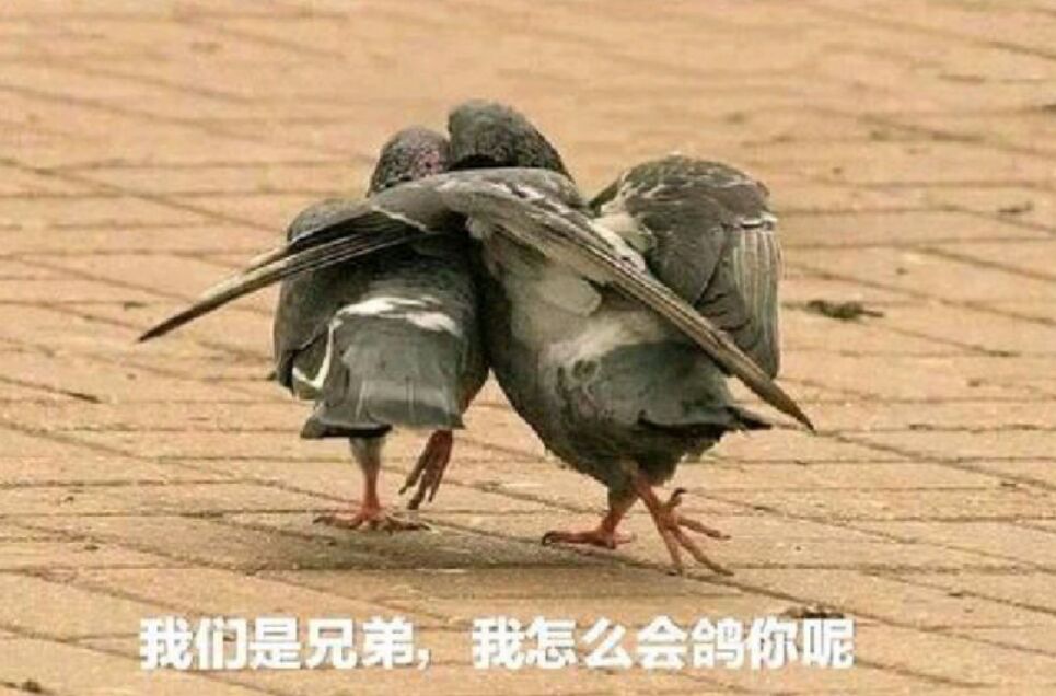 被联发科逼急了?高通中端新CPU姗姗来迟