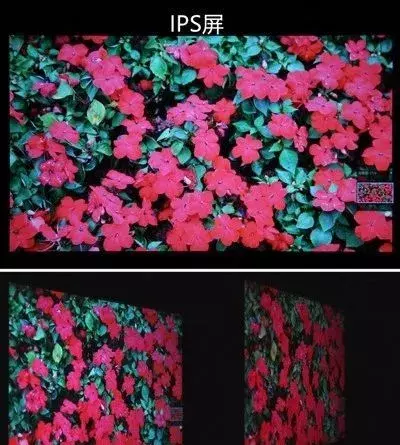TN屏、IPS屏的优缺点及其差异