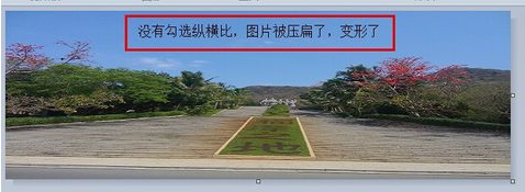 怎么修改图片大小？附操作方法