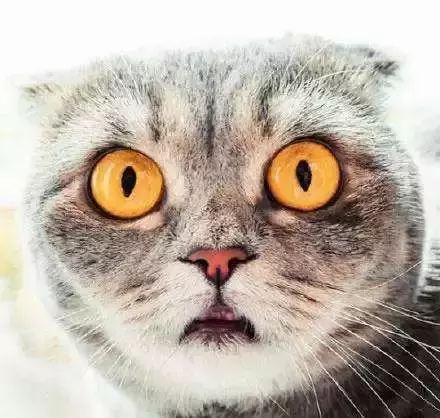 教你分清主流的USB接口！