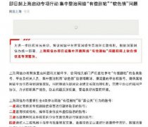即日起上海启动专项行动 集中整治网络“有偿删帖”“软色情”问题 事情的详