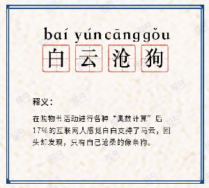 图片12