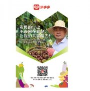 拼多多新增“农产品滞销信息反馈入口” 协助农户对接5亿消费者 到底是是什么