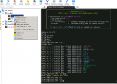 mobaxterm chinese，MobaXterm中文编码集乱码问题