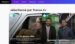 国外米友爆料：自己卖出的域名france.tv被法国电视集团启用！