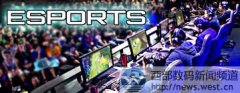 海外买家不断！新顶级域名esports.company在西部数码一口价成交！