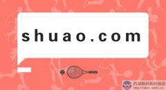 双拼域名shuao.com在西部数码小五位结拍！