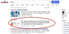 为什么我的站点百度收录出现了很多乱码？快照乱码，有知道这是怎么回事的吗