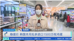 韩国鸡蛋价格暴涨四成