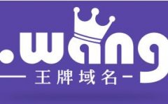 “.wang”未来空间无限，家族又添“王牌”新成员