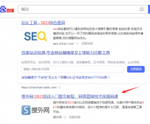 为什么搜外的SEO这个词，排名时有时无？？