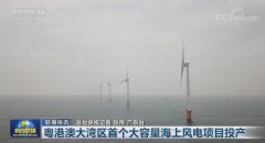 粤港澳大湾区首个大容量海上风电项目投产
