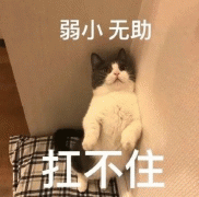 互联网把明星逼成什么样了