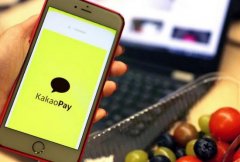 Kakao Pay 今日申请在韩国交易所（KRX）上市