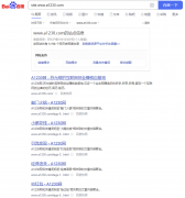 网站全是标签页参与排名，正常吗？