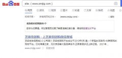 site:(域名)  时百度有词条，直接site:域名 没有，大侠解释下