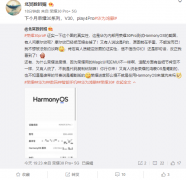 荣耀 30 Pro 已开始测试华为鸿蒙 HarmonyOS 2.0