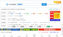 。。。。简直心态崩了，明明看到恢复收录了，结果今天一看直接没有预估流量