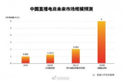 我国网络主播账号累计超1.3亿