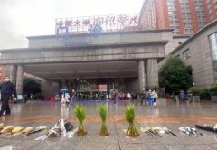 湘雅医院门口的三束水稻