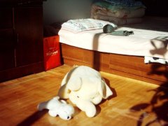 有人能做好百度推广seo为什么呢？怎么做到的_老铁SEO外包公司