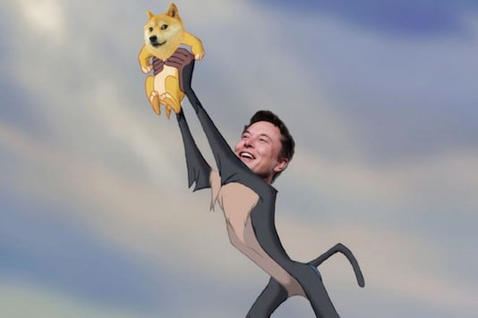 马斯克回应有人称其为狗狗币 CEO:狗狗币并没有正式的组织