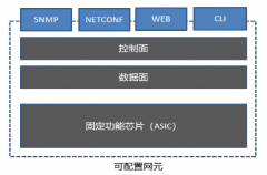可编程网元的过去 属于“可配置网元”
