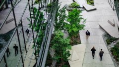 亚马逊宣布复岗计划！我们还在996