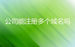 公司能注册多个域名吗？