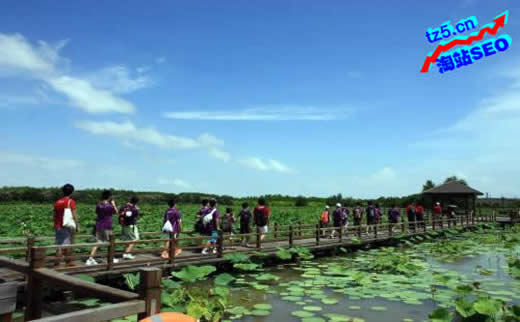 【百度推广后台登陆】五金件行业SEO是怎么做的？_淘站SEO_效果付费（图3）