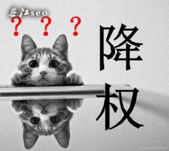 网站被百度降权如何恢复~