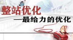 全站优化方法(网站全站优化方法及思路)